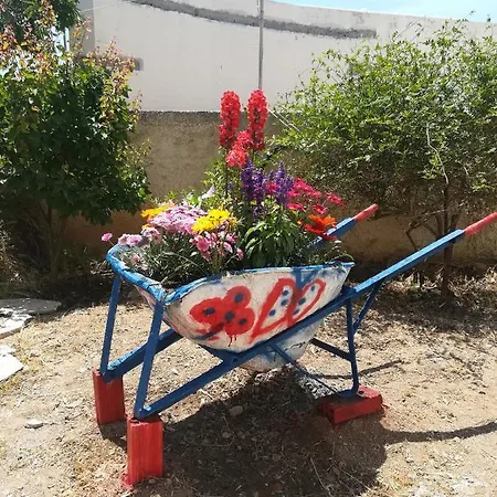 Deck1syros Premium * Vári