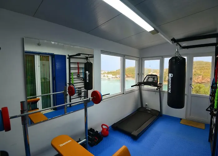 Deck1syros Premium Vári