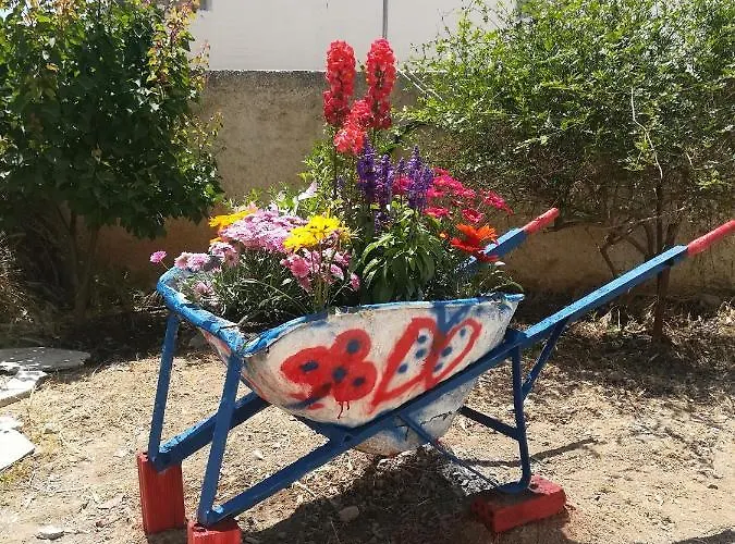 Deck1syros Premium * Vári